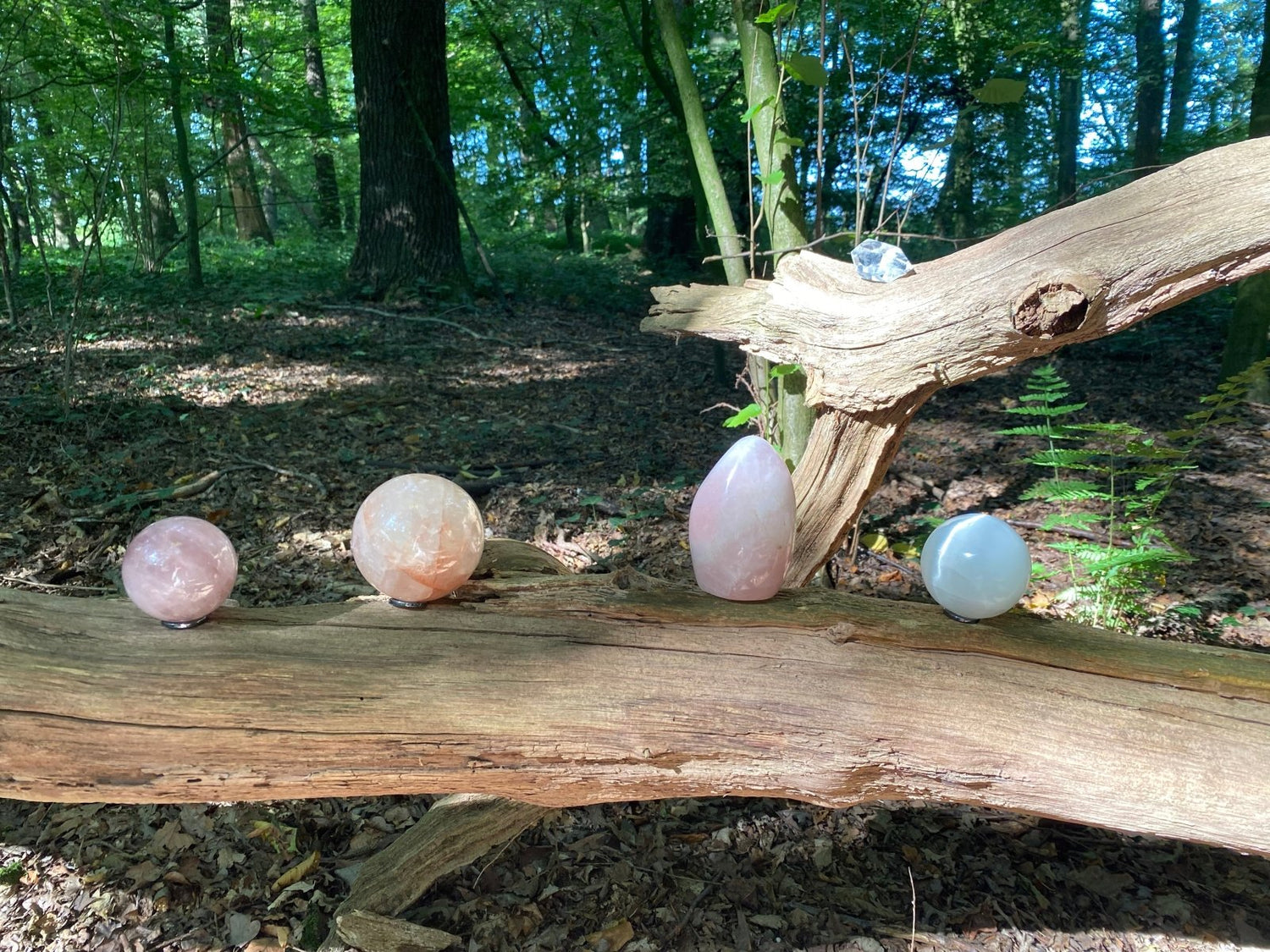 4 Heilstein-Kugeln auf einem Baustamm in der Natur