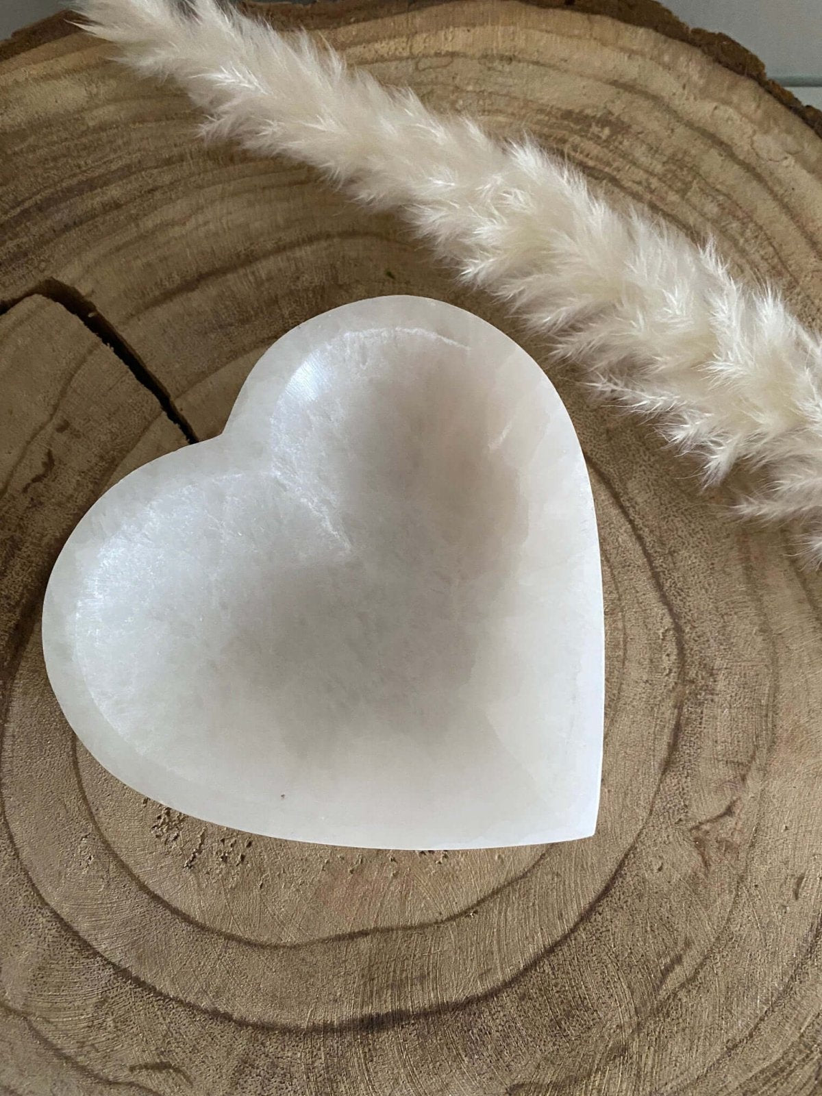 Herzschale aus Selenit auf Baumscheibe 