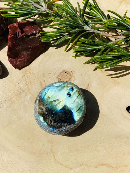 Oeuf d'émeu LABRADORITE