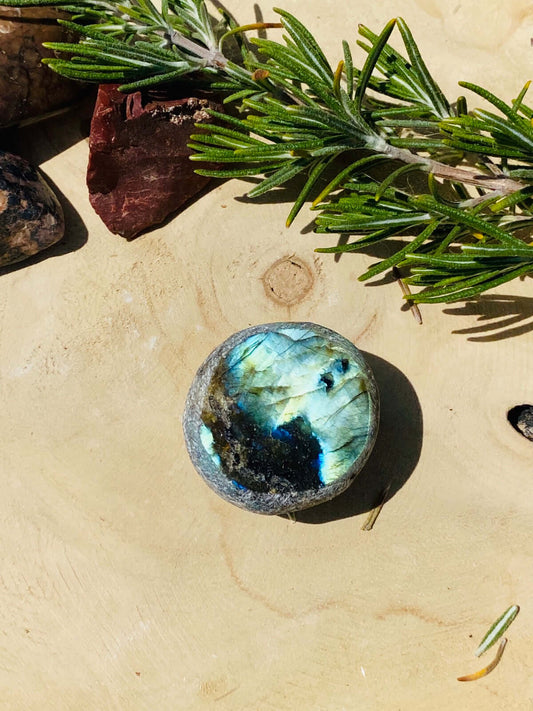 Oeuf d'émeu LABRADORITE